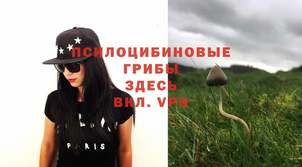 винт Белокуриха