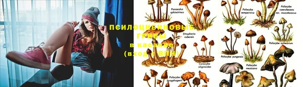 винт Белокуриха