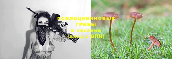 винт Белокуриха
