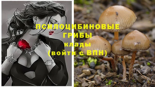 винт Белокуриха